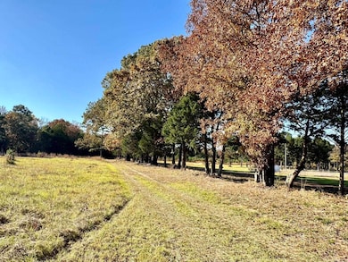 150 Holloway Ln, Greenbrier, AR 72058 - photo 3