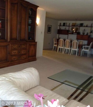 Towers Condominiums unit 302B, Baltimore, MD 21209 - photo 6