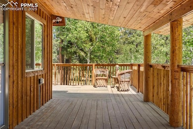 546 Pulver Rd, Lake George, CO 80827 - photo 7