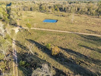 7821 Belcher Oil City Rd, Belcher, LA 71004 - photo 2