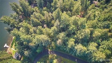 11114 106th St, Anderson Island, WA 98303 - photo 3