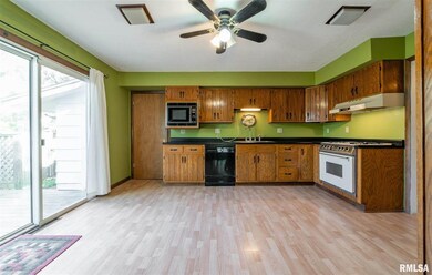 1413 Rutledge Dr, Lincoln, IL 62656 - photo 6