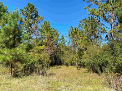 xx 3 Sisters Rd, Crawfordville, FL 32327 - photo 3