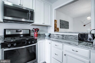 10032 Oakton Terrace Rd, Oakton, VA 22124 - photo 5