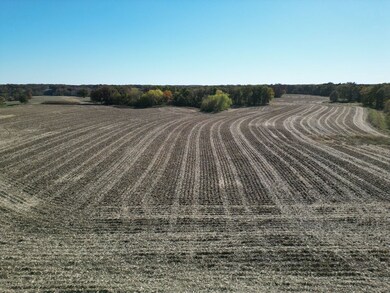 12140 County Loop Rd, Palmyra, IL 62674 - photo 5