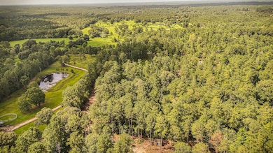 tbd County Road 1520, Warren, TX 77664 - photo 5