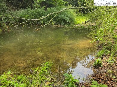Beaver Pond in creek crossing.
