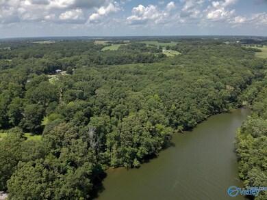 49.59 +/- Acres Snake Rd, Athens, AL 35611 - photo 6