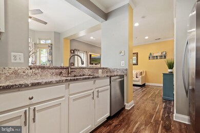 46381 Pryor Square, Sterling, VA 20165 - photo 6