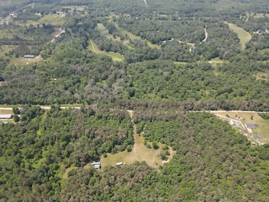 6573 Williams Trail, Grayling, MI 49738 - photo 2