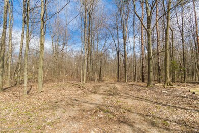 Onondaga_Rd_VACANT_BROCK-3