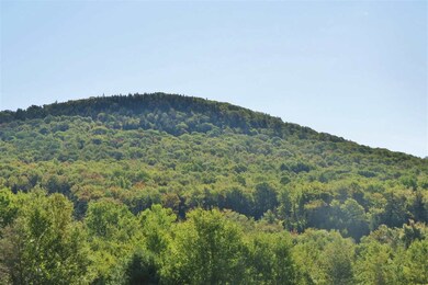 00 Route 100 S, Ludlow, VT 05149 - photo 7