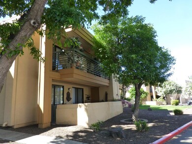 View of Spacious Balcony/Deck