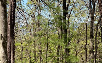 0 Mountain View Ct unit 315601, Ellijay, GA 30536 - photo 4