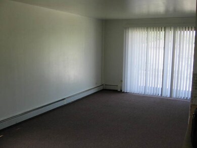 18247 Ravisloe Terrace unit 45, Country Club Hills, IL 60478 - photo 3