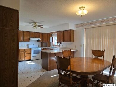 400 4th St, Carthage, IL 62321 - photo 4