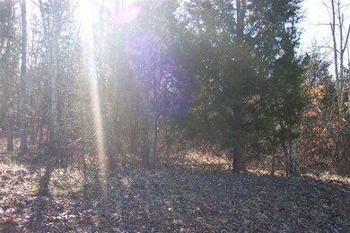 550 Indian Creek Rd, Harrodsburg, KY 40330 - photo 3