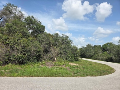 000 SW 153rd Loop, Marion Oaks, FL 34473 - photo 2