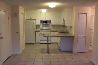 145 Warren St unit 2, Watertown, MA 02472 - photo 3
