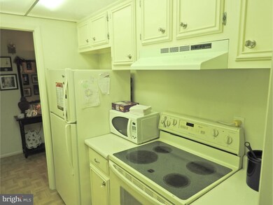 20 Dougherty Blvd unit L2, Glen Mills, PA 19342 - photo 7