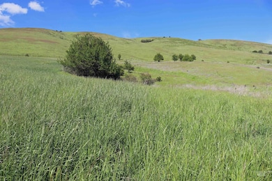 TBD Sunnyside Bench Rd, Lenore, ID 83541 - photo 3