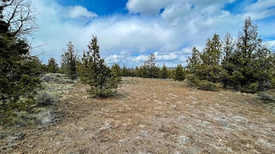 6392 SE Krag St, Prineville, OR 97754 - photo 3