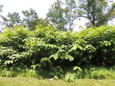 Maple Street, Saltsburg