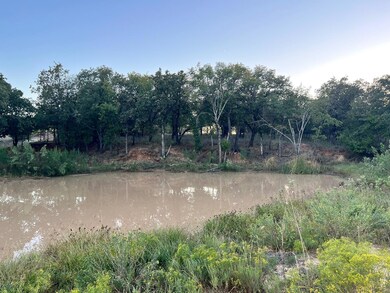 TBD Sandpiper Dr, Weatherford, TX 76088 - photo 7