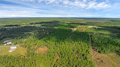 1 Wild Cur Rd, Pierson, FL 32180 - photo 5