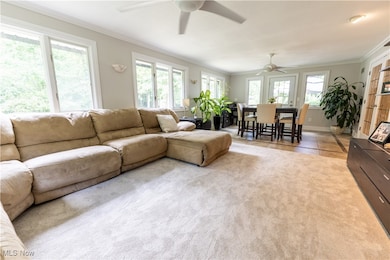 331 Verdant Ln, Canfield, OH 44406 - photo 6