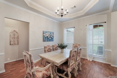 10402 Black Horse, Helotes, TX 78023 - photo 5