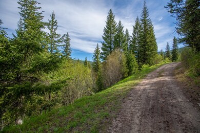 TBD 37 Clear Creek Rd, Cascade, ID 83611 - photo 4