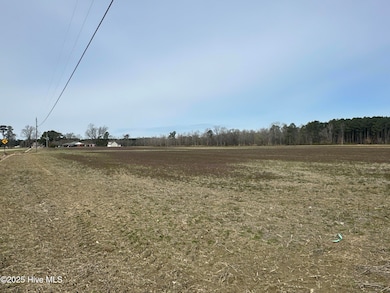 6281 Nc Highway 32 N, Roper, NC 27970 - photo 6