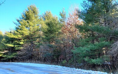 Side View
