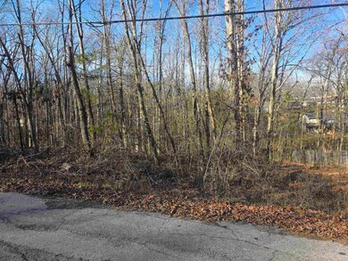 L-4 B-4 Powhatan Dr, Cherokee Village, AR 72529 - photo 4