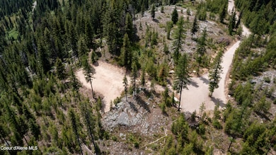 DJI_0203
