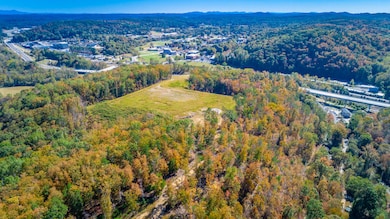 9739 Timberview Trail, Ooltewah, TN 37363 - photo 6