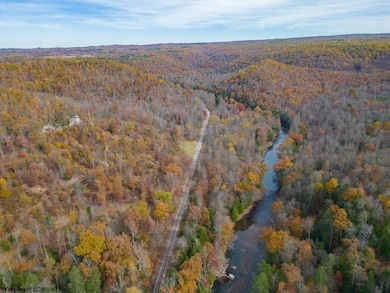1092 Hinkle Ridge Rd, French Creek, WV 26218 - photo 4