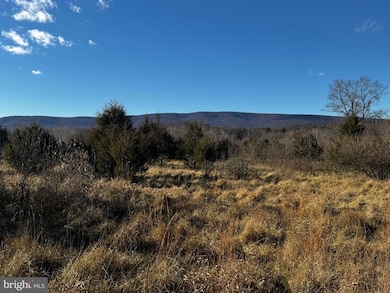 20 Hallows Way, Gerrardstown, WV 25420 - photo 4