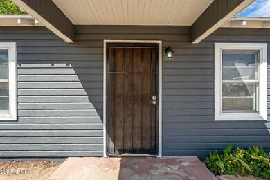 Security door