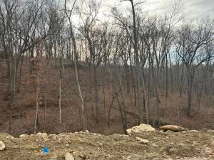 243 Boone Point Subdivision, Boonville, MO 65233 - photo 7