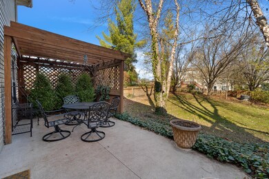 Back Patio & Backyard