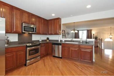 1089 Crane Pointe, Elgin, IL 60124 - photo 5