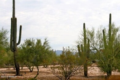 Saguaro 2