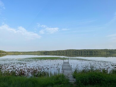 lake front just sprayed.jpg