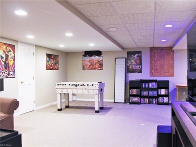 Finished Lower Level