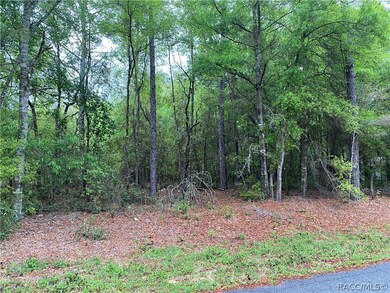 0 SW 204th Cir, Dunnellon, FL 34431 - photo 3