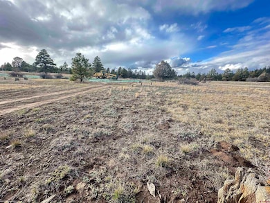 37 Arroyo Ct, Pagosa Springs, CO 81147 - photo 5