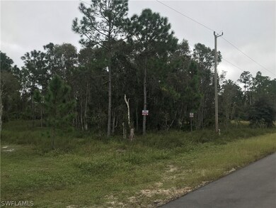 831 Knox Ave S, Lehigh Acres, FL 33974 - photo 4