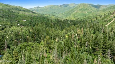 1722067334440_1722022560874dji0876
